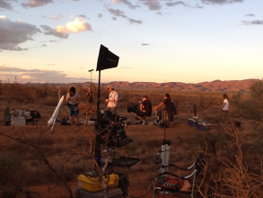 Diversity_Fin_in_the_Australian_Outback_0.png