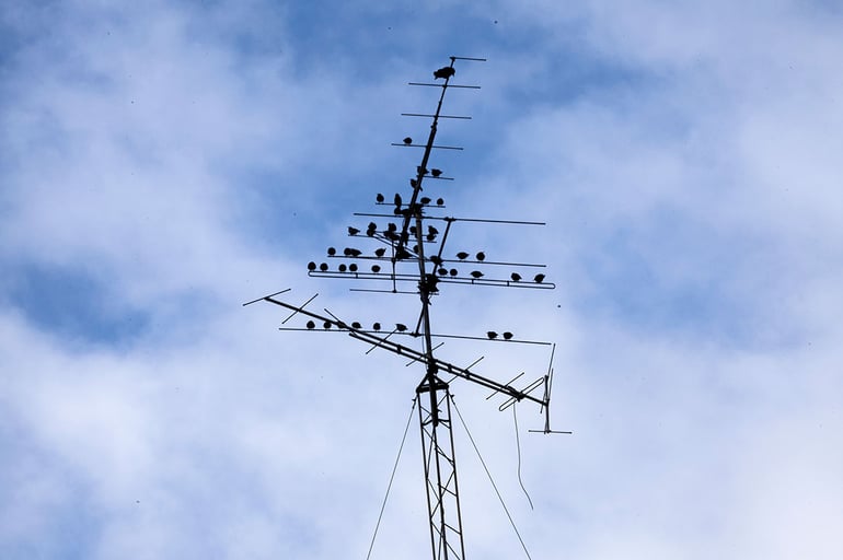antennas.jpg