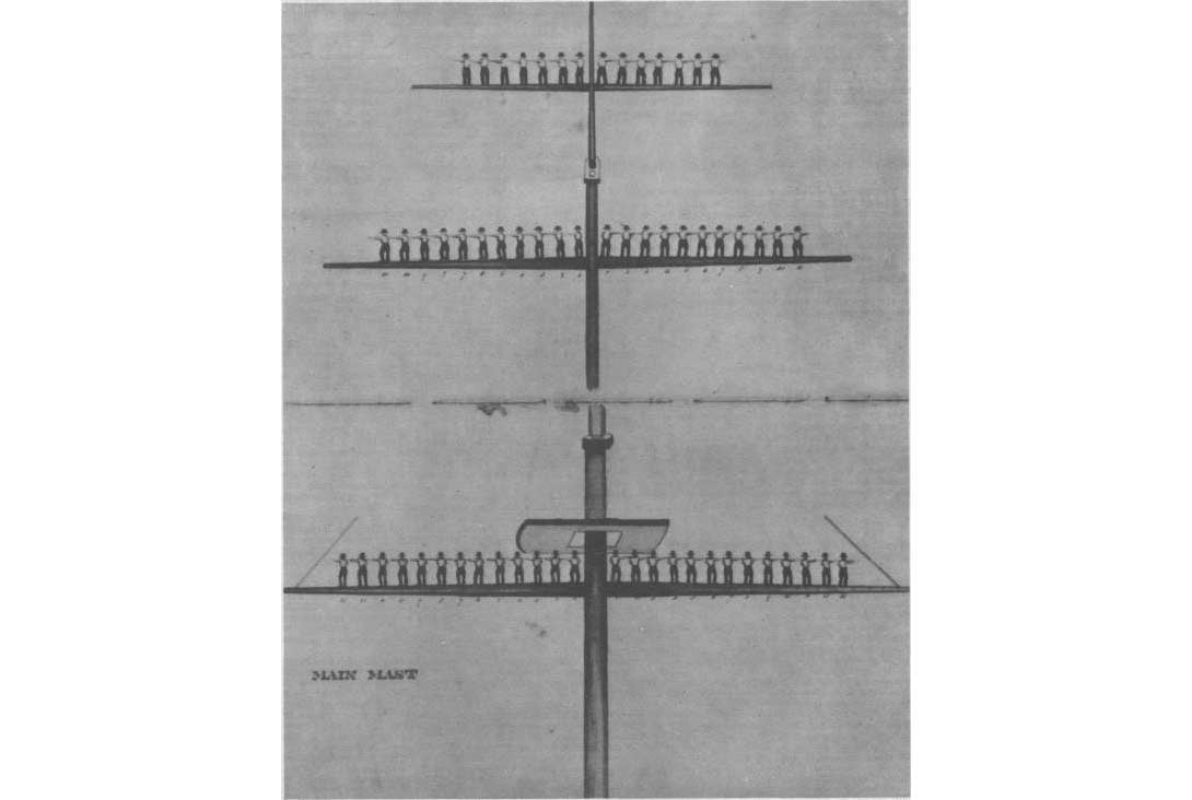 Technical Grammar Police “Antennas” or “Antennae”?